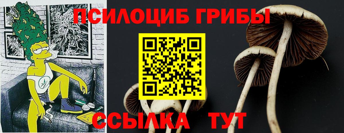 Кашира  Галлюциногенные грибы Magic Shrooms  Вход с VPN  Галлюциногенные грибы GOLDEN TEACHER 