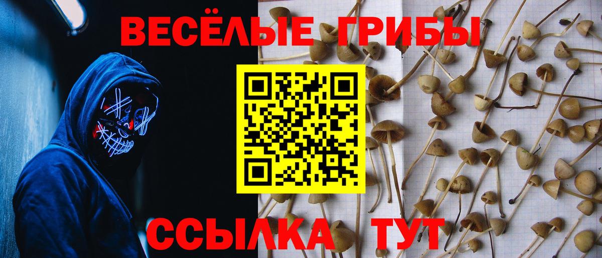 Галлюциногенные грибы мухоморы Кашира